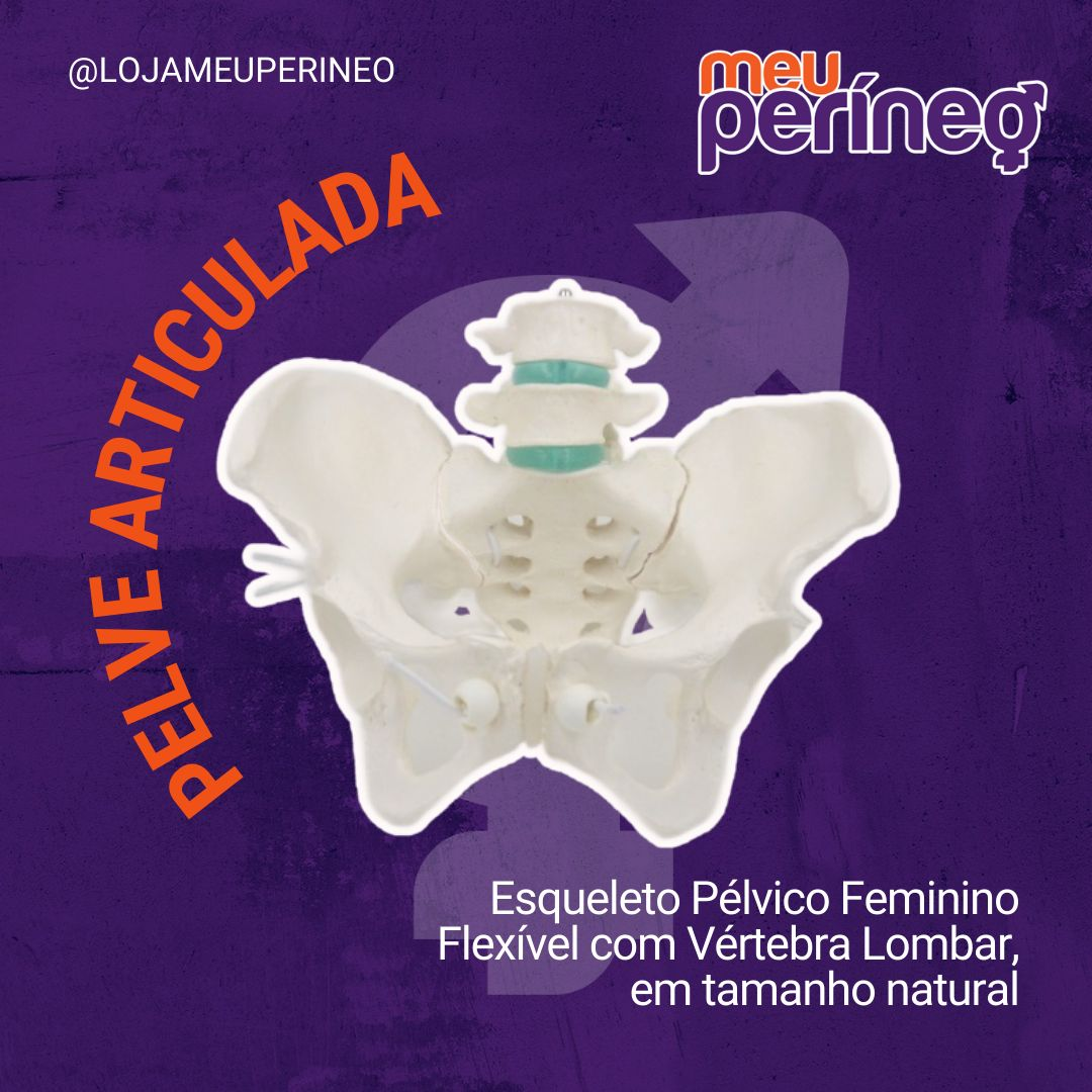 Esqueleto Plvico Feminino Flexvel c/ Vrtebra Lombar ES63